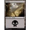 Swamp (Foil NE, Stav Good)