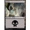 Swamp (Foil NE, Stav Good)
