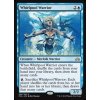 Whirlpool Warrior (Foil NE, Stav Near Mint)