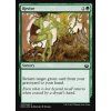 Revive (Foil ANO, Stav Near Mint)