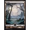 Swamp - Full Art - HP (Foil NE, Stav Played)