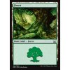 Forest (Foil NE, Stav Near Mint)