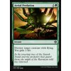 Aerial Predation (Foil NE, Stav Near Mint)