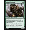 Timberland Guide (Foil ANO, Stav Near Mint)