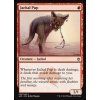 Jackal Pup (Foil ANO, Stav Near Mint)