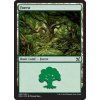 Forest (Foil NE, Stav Near Mint)