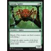Canopy Spider (Foil NE, Stav Near Mint)