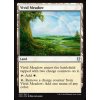 Vivid Meadow (Foil NE, Stav Near Mint)