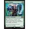 Fauna Shaman (Foil NE, Stav Near Mint)