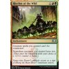 Rhythm of the Wild (Foil NE, Stav Near Mint)