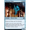 Phantom Ninja (Foil NE, Stav Near Mint)