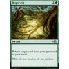 Regrowth (Foil NE, Stav Near Mint)