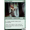 Rime Tender (Foil NE, Stav Near Mint)