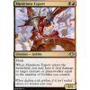 Munitions Expert (Foil NE, Stav Near Mint)