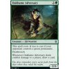 Oakhame Adversary (Foil NE, Stav Near Mint)