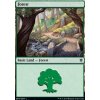 Forest (Foil NE, Stav Near Mint)