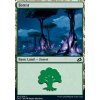 Forest (Foil NE, Stav Near Mint)