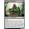 Silumgar Scavenger
