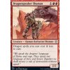 Dragonspeaker Shaman (Foil NE, Stav Near Mint)