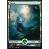 Forest (Foil ANO, Stav Near Mint)