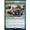 Murkfiend Liege - EXTRA (Foil NE, Stav Near Mint)