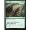 236660 rain of thorns
