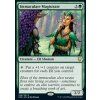 Immaculate Magistrate (Foil NE, Stav Near Mint)