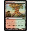 Rootbound Crag - NON ENG CHI (Foil NE, Stav Near Mint)