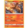 Charizard (DET 5)