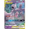 Mewtwo & Mew GX