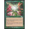 Harmonic Convergence (Foil NE, Stav Good)