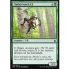 Timberwatch Elf