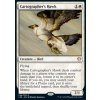 Cartographer's Hawk