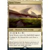 Savai Triome (Foil ANO, Stav Near Mint)