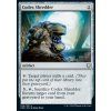 Codex Shredder (Foil ANO, Stav Near Mint)