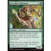 Detail karty