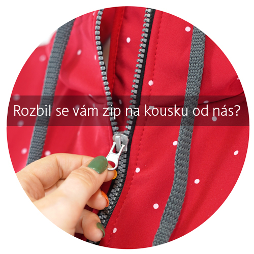 ZIP1_1