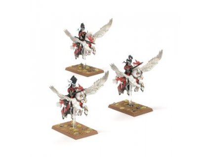 99122703006 PegasusKnights2 (1)
