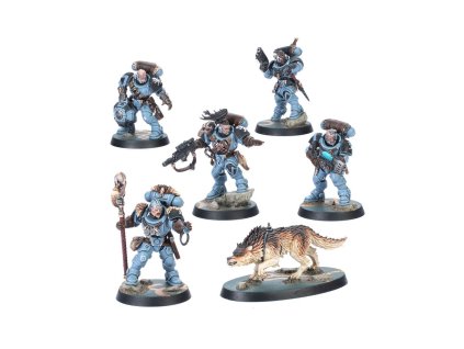 99120101457 KTWolfScouts01