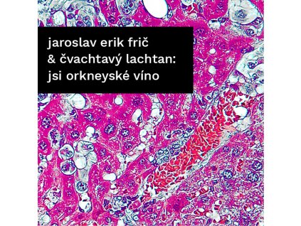 cvachtavy lachtan jsi orneyske vino