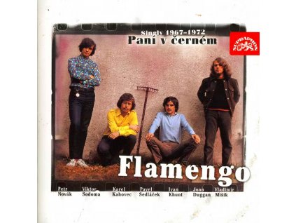 flamengo pani v cernem 1