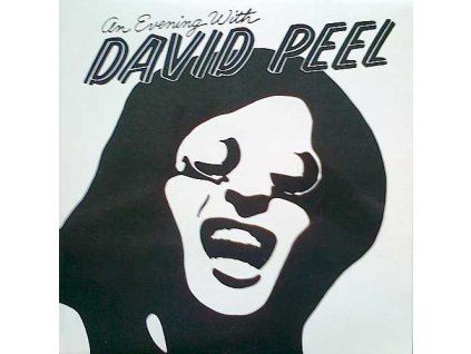 PEEL DAVID: An Evening With - LP / BAZAR