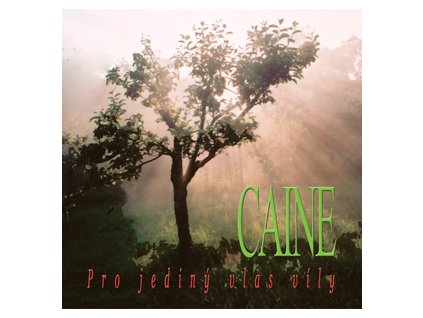 CAINE - Pro jediný vlas víly - CD