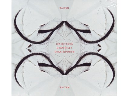 bittova nayive cd 1