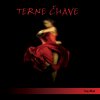 Terne Čhave  - Kaj džas / Kam jdeme - CD