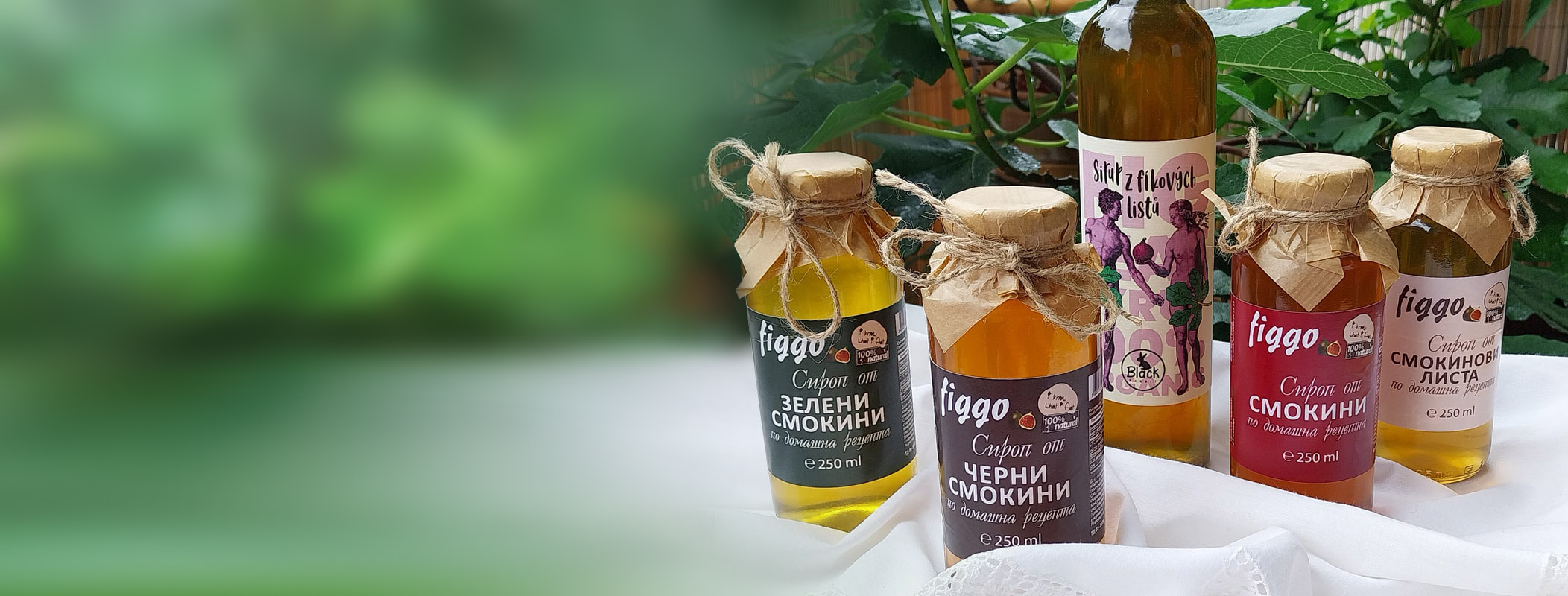 SLEVA -30% na všechny fíkové sirupy