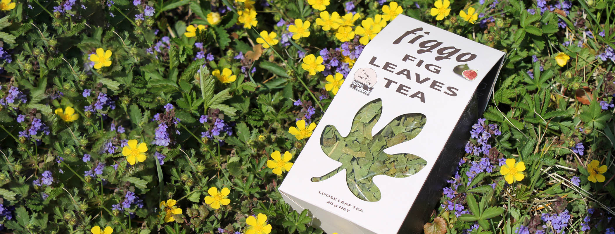 Sušené fíkové listy Figgo