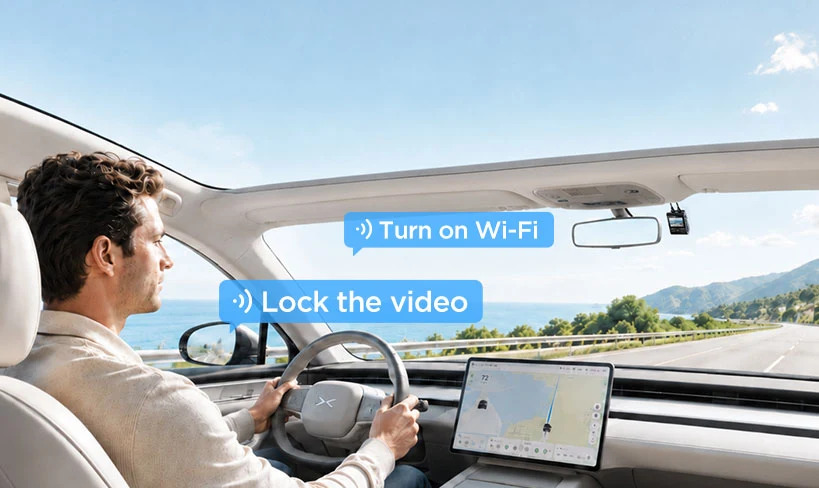 Voice Control