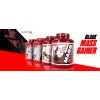 Blade Mass Gainer 2270g