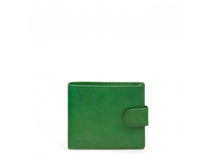 Pánská kožená peněženka Rian zelená